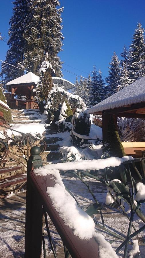 Любе Hotel Yablunytsya Luaran gambar