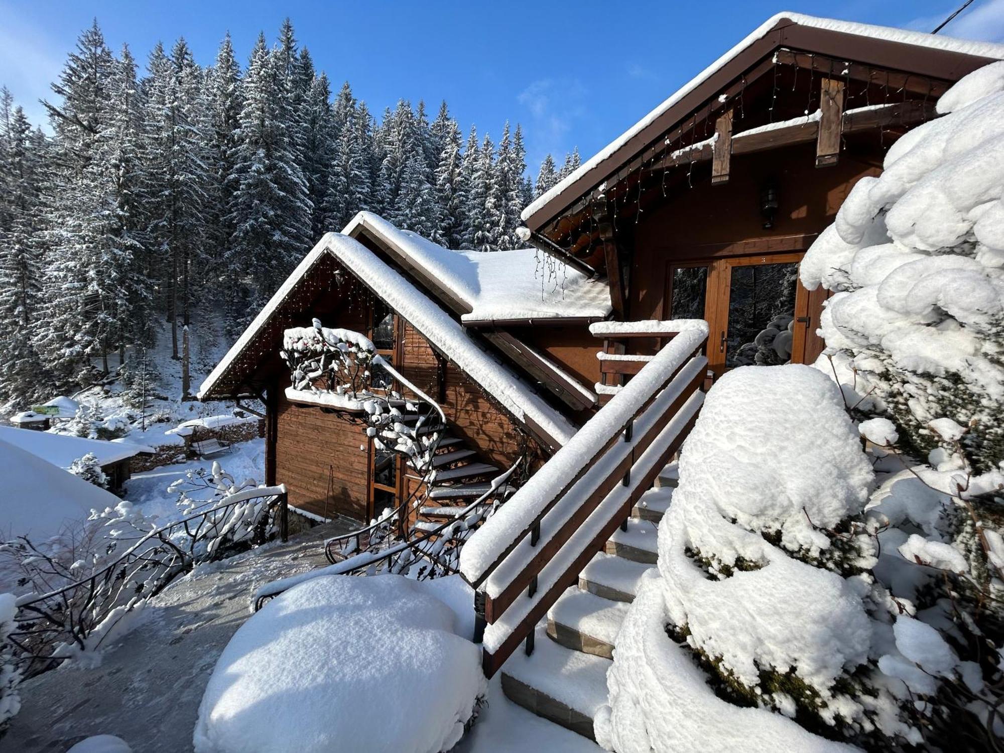 Любе Hotel Yablunytsya Luaran gambar