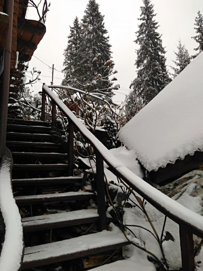 Любе Hotel Yablunytsya Luaran gambar